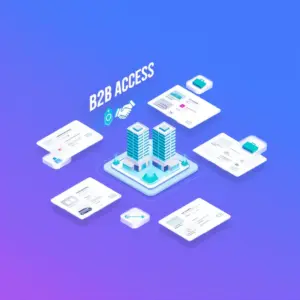 Government Sales Facilitation (Basic)